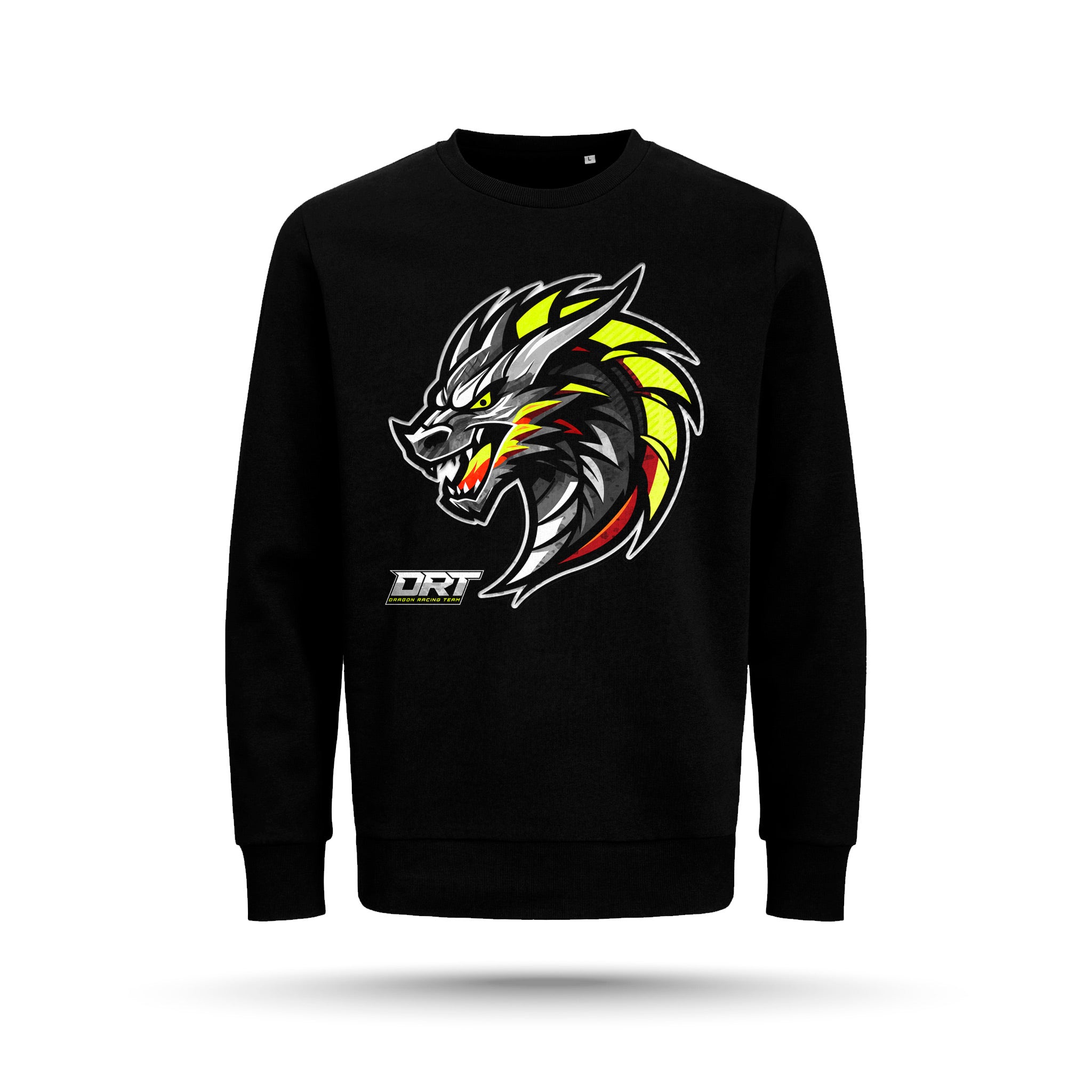 Dragon Racing Team - College, DRT 2026