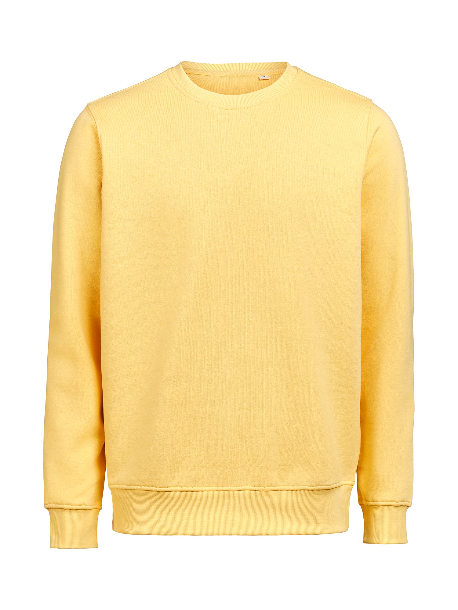 UM Collegepaita Regular Fit